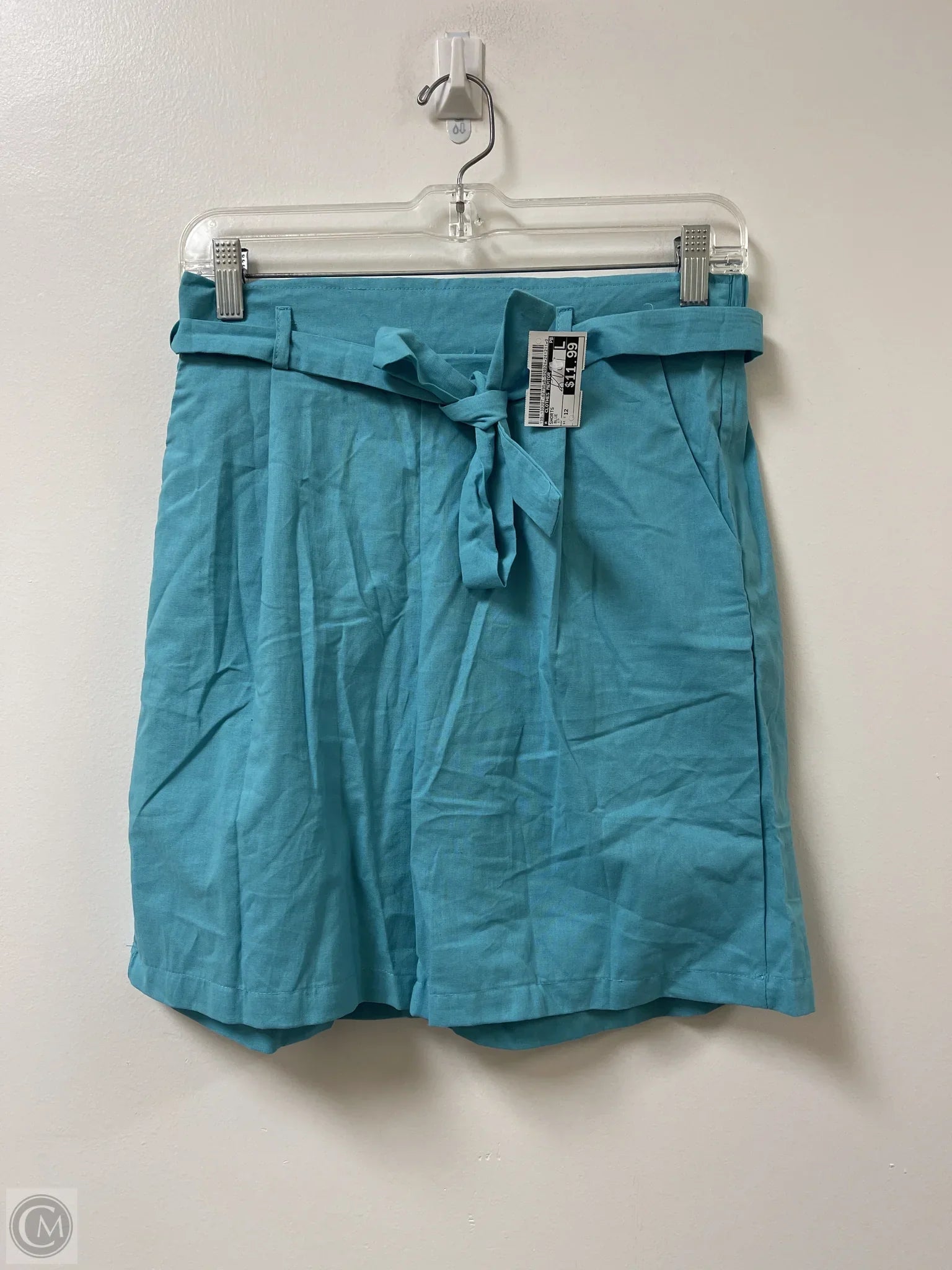 Warm Men's Fleece-Lined PantsShorts By Clothes Mentor In Blue, Size: 12